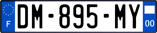 DM-895-MY