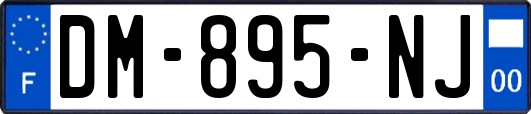 DM-895-NJ