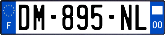 DM-895-NL