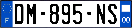 DM-895-NS