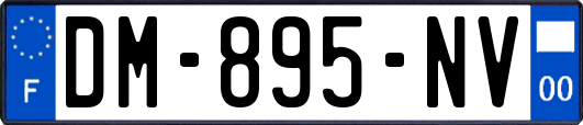 DM-895-NV