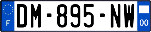 DM-895-NW