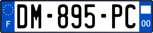 DM-895-PC