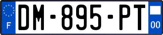 DM-895-PT