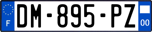 DM-895-PZ