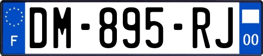 DM-895-RJ