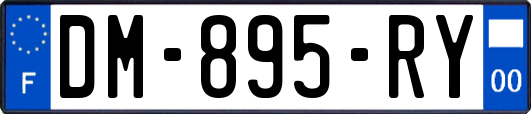 DM-895-RY