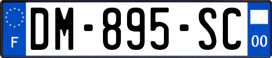 DM-895-SC