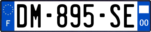 DM-895-SE