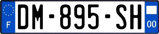 DM-895-SH