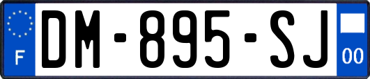 DM-895-SJ