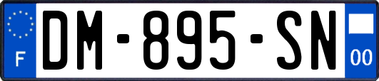 DM-895-SN