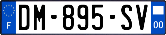 DM-895-SV