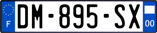 DM-895-SX