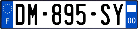 DM-895-SY