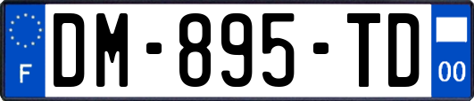 DM-895-TD