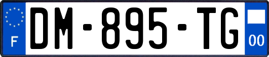 DM-895-TG