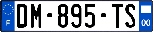 DM-895-TS