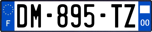 DM-895-TZ