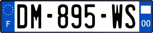 DM-895-WS