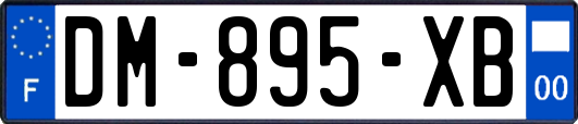 DM-895-XB