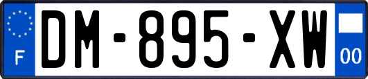 DM-895-XW