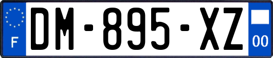 DM-895-XZ