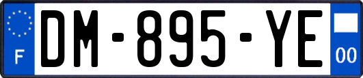 DM-895-YE