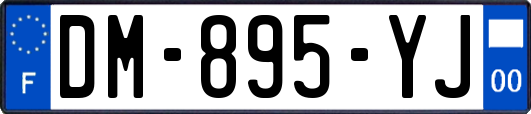 DM-895-YJ