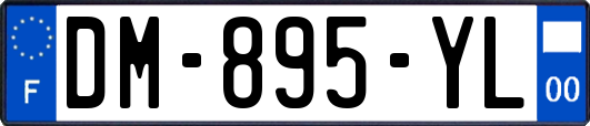 DM-895-YL