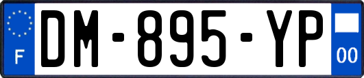 DM-895-YP