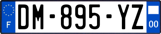 DM-895-YZ