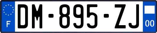 DM-895-ZJ