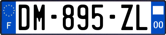 DM-895-ZL