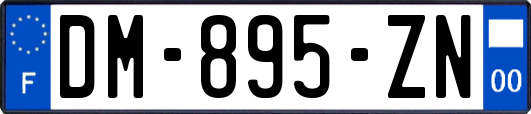 DM-895-ZN