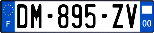 DM-895-ZV