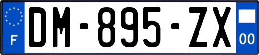 DM-895-ZX