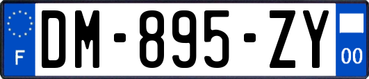 DM-895-ZY