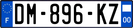 DM-896-KZ