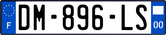 DM-896-LS