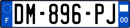 DM-896-PJ