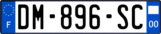 DM-896-SC