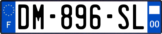 DM-896-SL