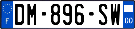 DM-896-SW