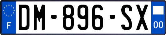 DM-896-SX