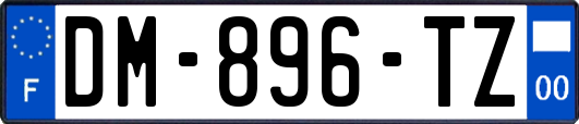 DM-896-TZ