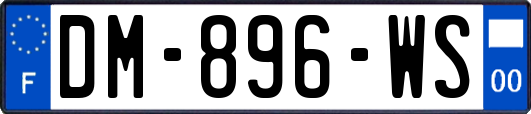 DM-896-WS