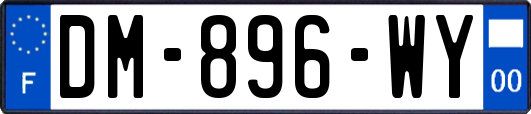 DM-896-WY