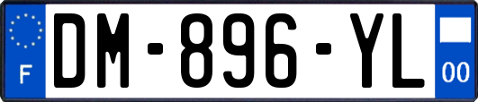 DM-896-YL