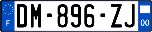 DM-896-ZJ